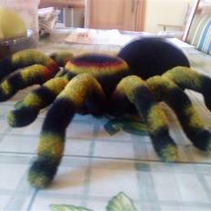 Robot Tarantula