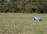 Off-Roader FG Monster truck Tidl. RC enhed