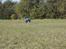 Off-Roader FG Monster truck Tidl. RC enhed