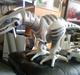 Robot Roboraptor