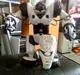 Robot Robo Sapien