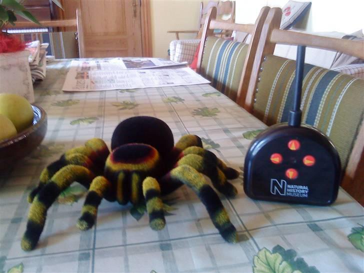 Robot Tarantula billede 1