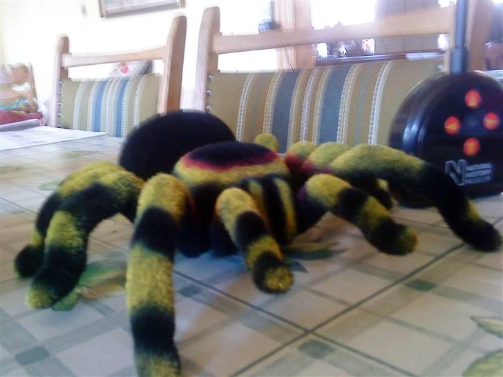 Robot Tarantula billede 2