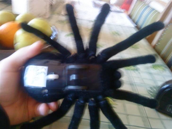 Robot Tarantula billede 4