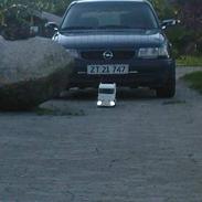 Lastbiler Scania R470 Highline