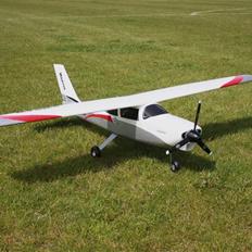 Fly Multiplex Mentor