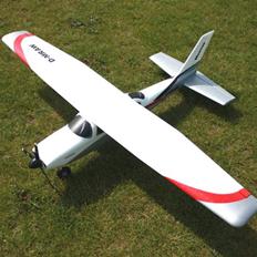 Fly Multiplex Mentor