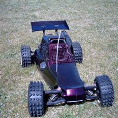 Buggy Buggy FG Marder