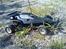 Off-Roader Tamiya Hornet