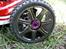 Buggy HPI Trophy 3.5