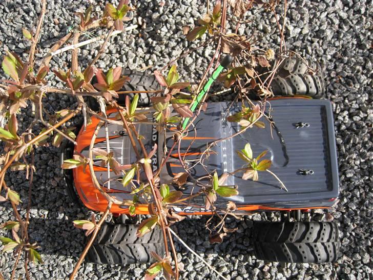 Off-Roader Xmissile PRO Brushless billede 6