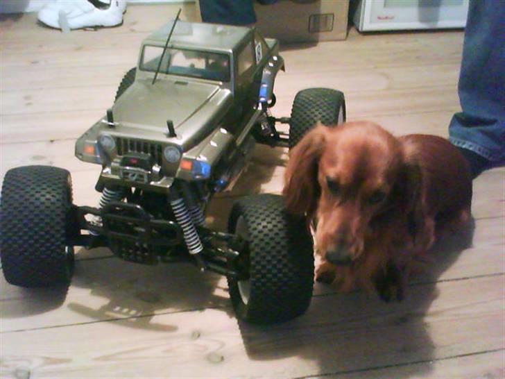 Off-Roader cen nemesis - min kæreste og min lillle hund var klar til et lille kapløb i soveværelset billede 4