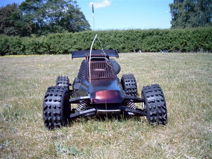 Buggy Buggy FG Marder billede 3