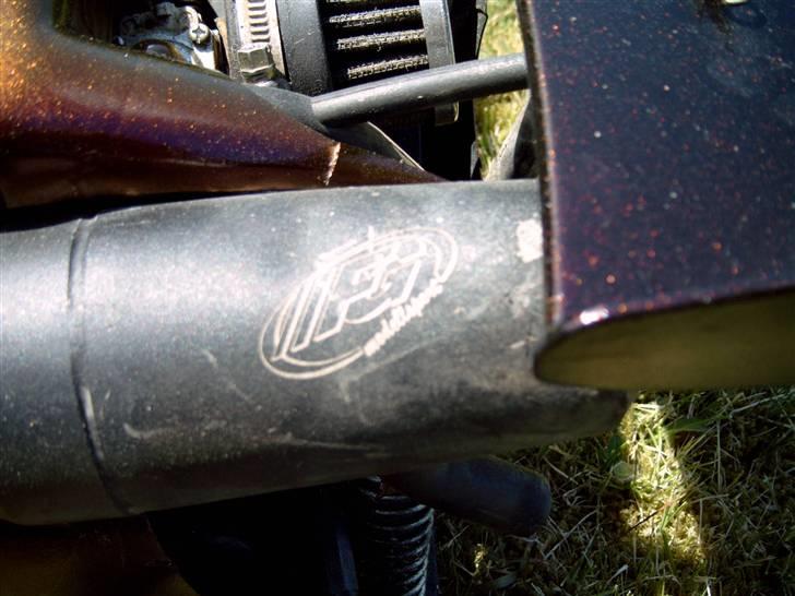 Buggy Buggy FG Marder billede 7