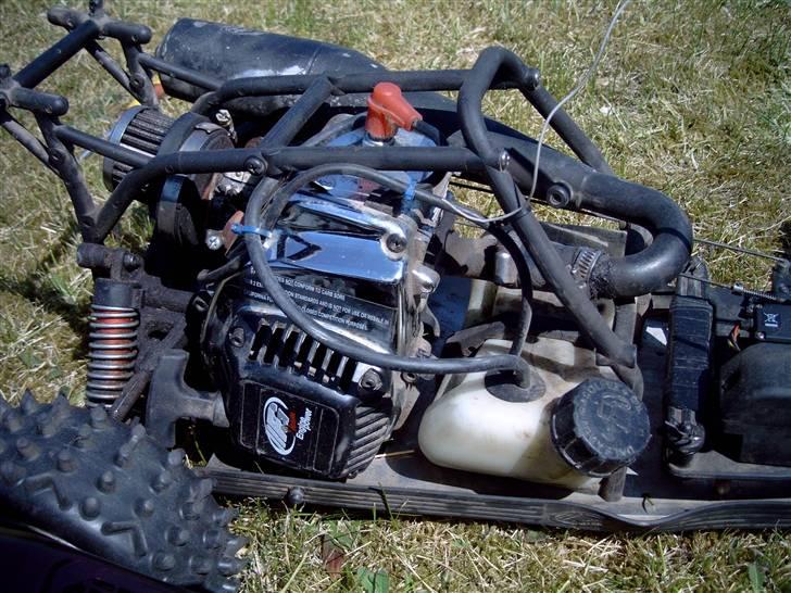 Buggy Buggy FG Marder billede 10