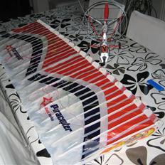 Fly    Gold Rosita Paraglider