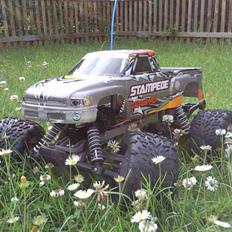 Off-Roader Stampede Brushless