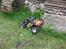 Buggy Tamiya Blitzer Beetle