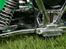 Buggy Elcon Cleon