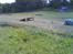 Buggy FG Stadium Beetle PRO
