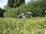 Buggy lightning 10 sport