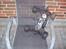 Off-Roader hpi firestorm 10t