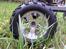 Off-Roader Stampede Brushless
