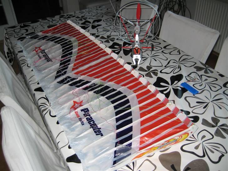 Fly    Gold Rosita Paraglider billede 3