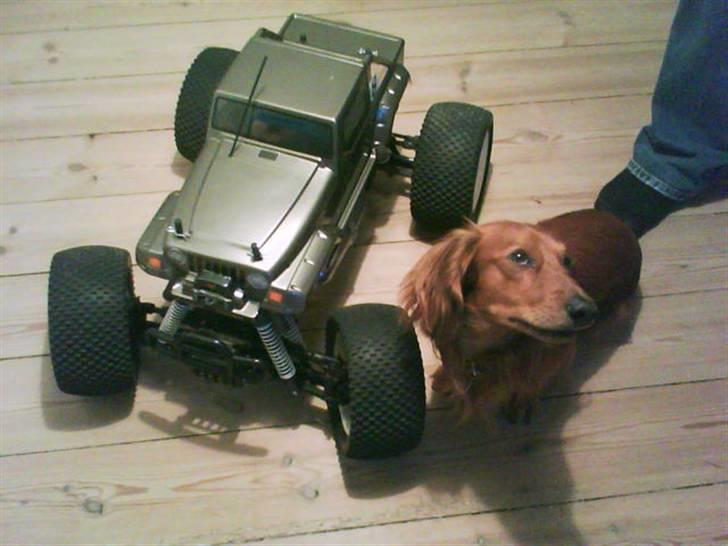 Off-Roader cen nemesis billede 13