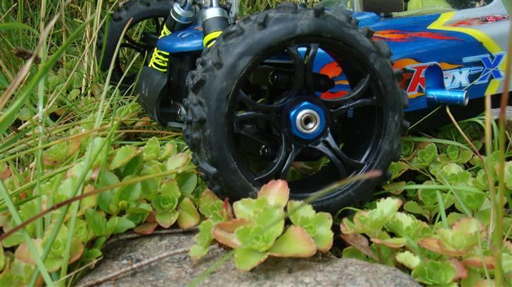 Buggy GV Rex-X billede 2
