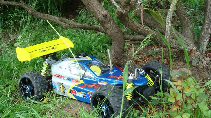 Buggy GV Rex-X billede 9