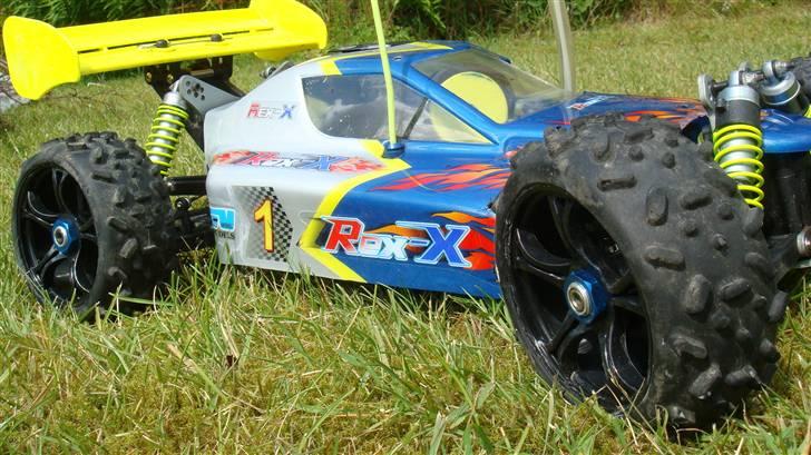 Buggy GV Rex-X billede 10