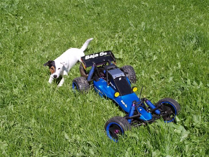 Bil Hpi Baja 5b *SOLGT* billede 14