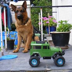 Off-Roader tamiya landcruiser 