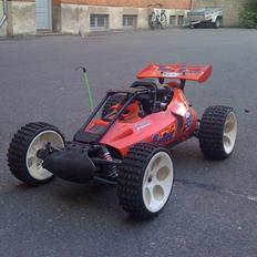 Buggy fg baja
