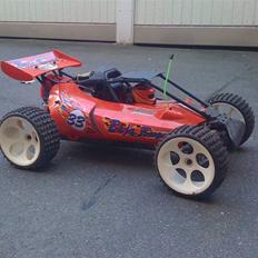 Buggy fg baja