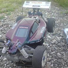 Buggy Carson Specter cy