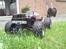 Bil TRAXXAS T-MAXX 3.3