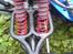 Bil TRAXXAS T-MAXX 3.3