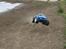 Off-Roader FG Monster truck Tidl. RC enhed