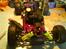 Buggy Atomic Warhead