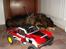 Truck Traxxas Slash Ezrun 9T