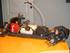 Bil FG Baja Buggy 