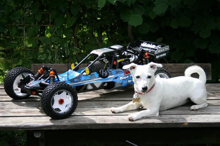 Buggy HPI Baja 5B SS billede 11