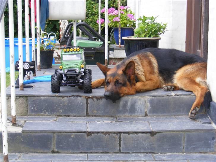 Off-Roader tamiya landcruiser  billede 1
