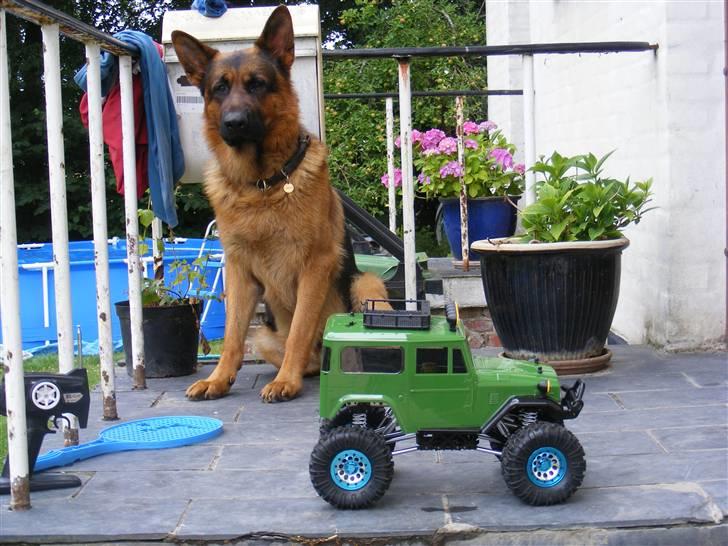 Off-Roader tamiya landcruiser  billede 2