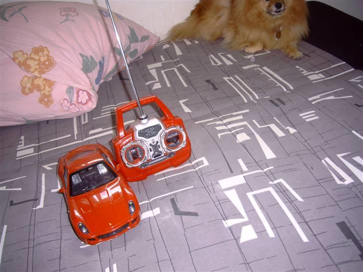 Bil ferrari  billede 11