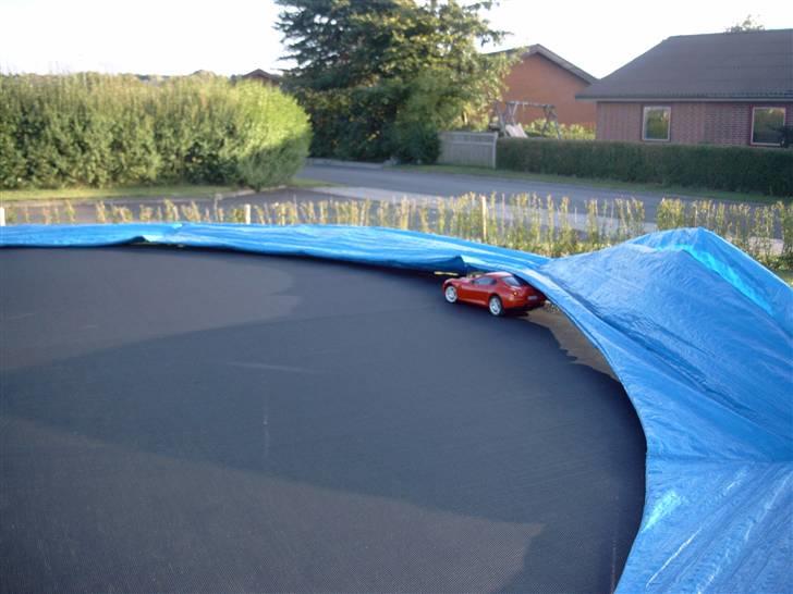 Bil ferrari  billede 17