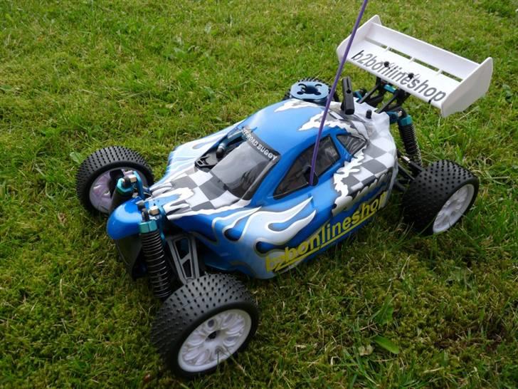 Buggy Leopard billede 1