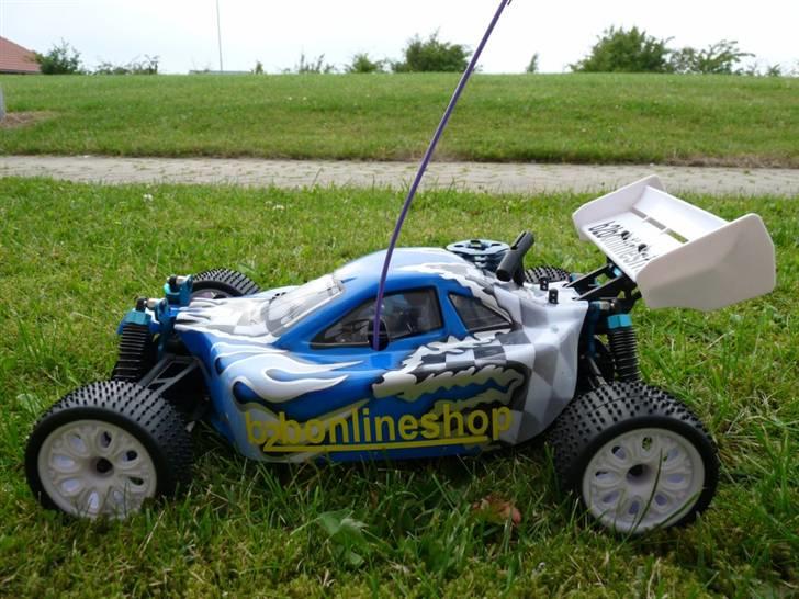 Buggy Leopard billede 2